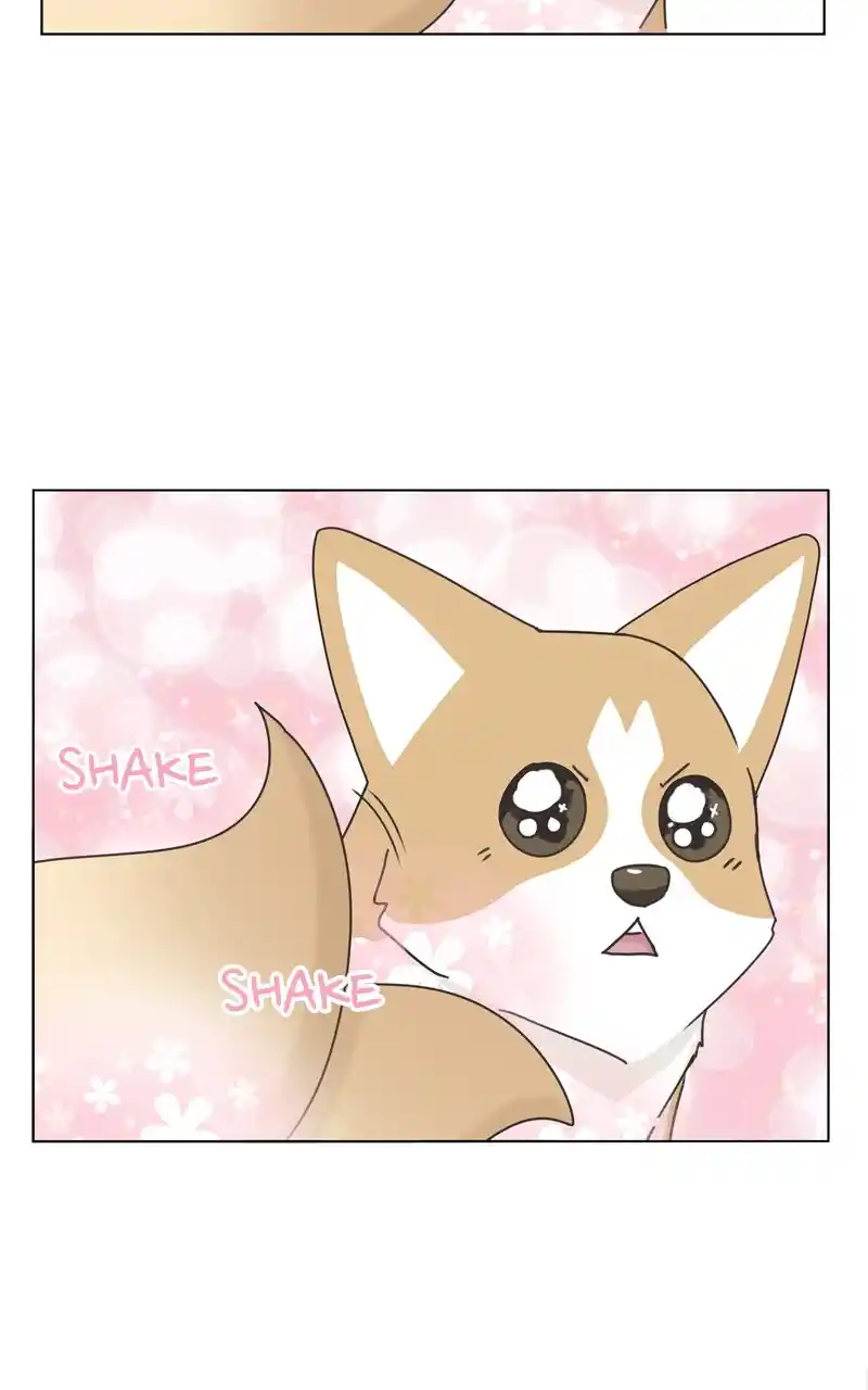 I Gave Birth to a Dog Chapter 117