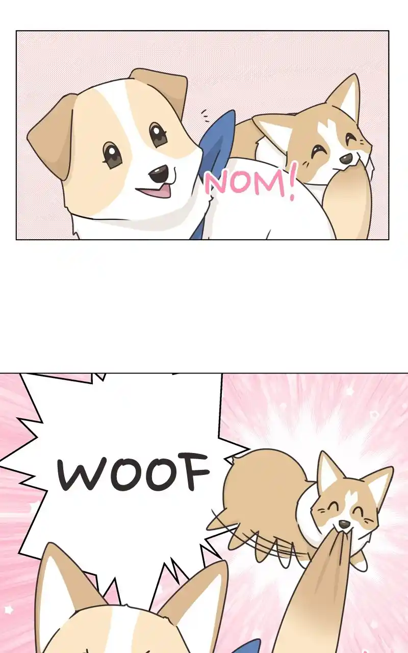 I Gave Birth to a Dog Chapter 117