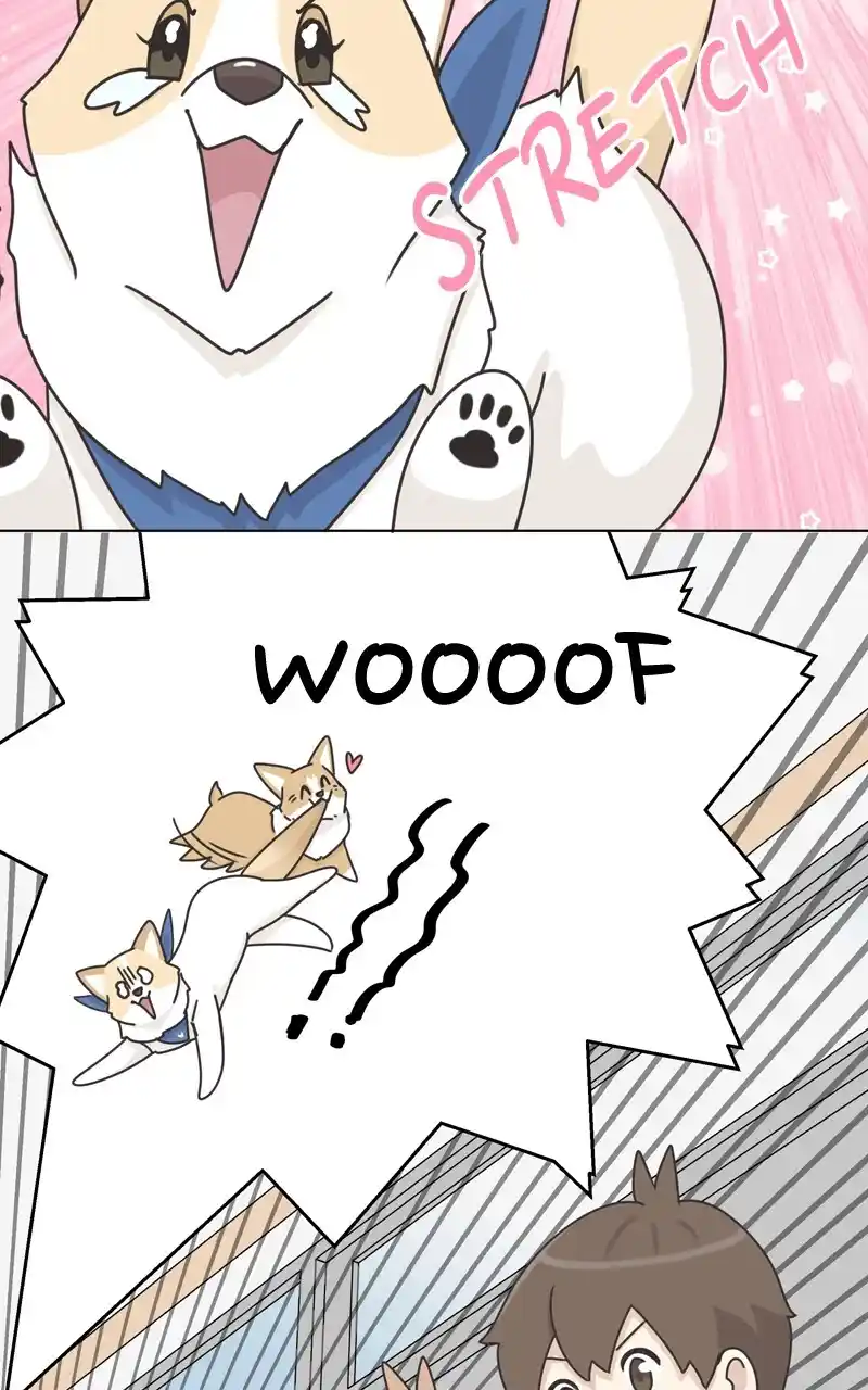 I Gave Birth to a Dog Chapter 117