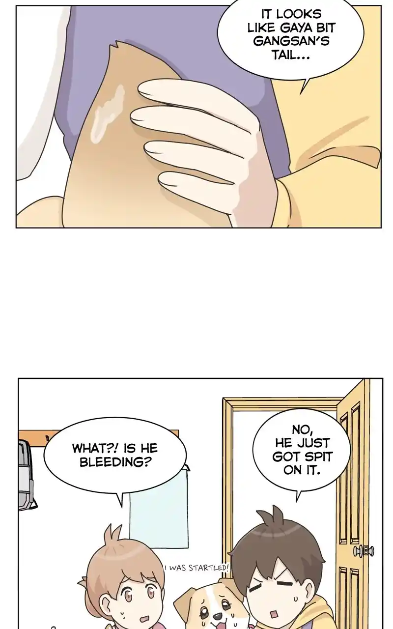 I Gave Birth to a Dog Chapter 117