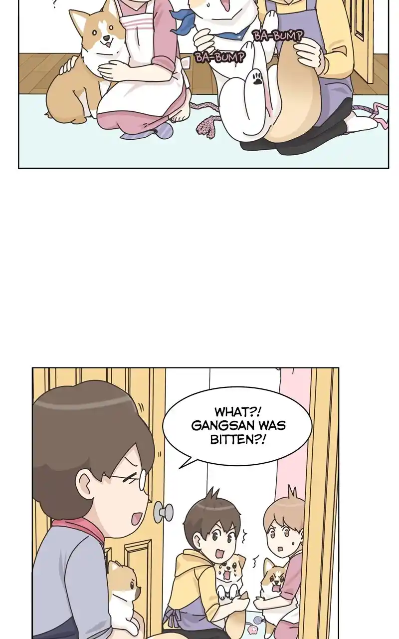 I Gave Birth to a Dog Chapter 117