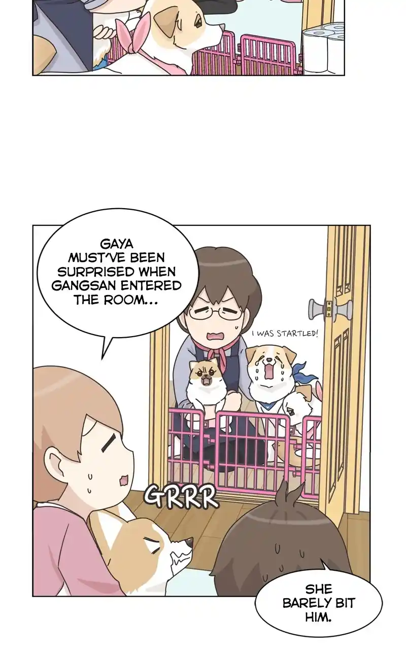 I Gave Birth to a Dog Chapter 117