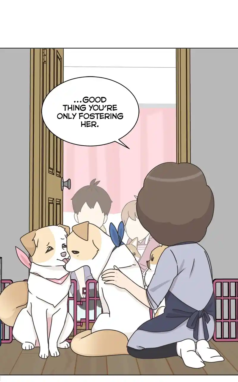 I Gave Birth to a Dog Chapter 117