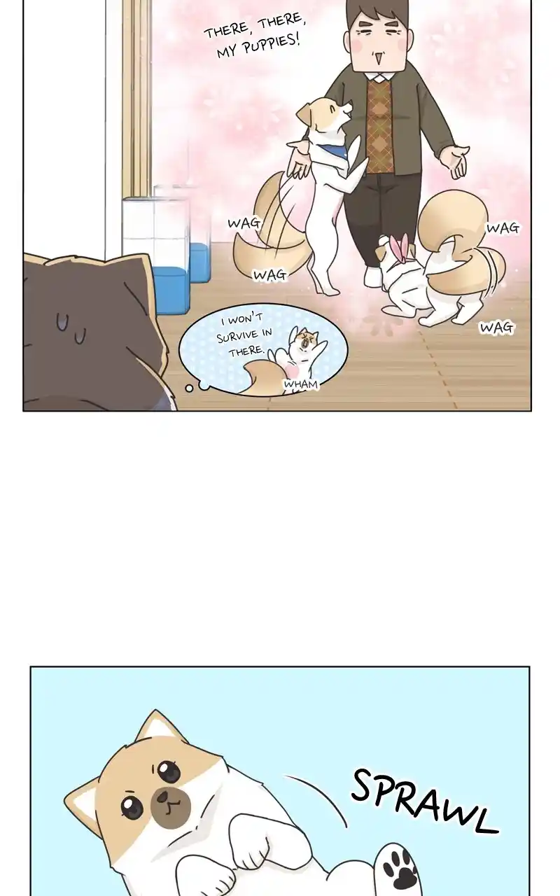 I Gave Birth to a Dog Chapter 117