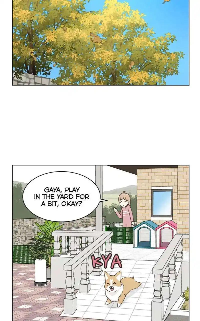 I Gave Birth to a Dog Chapter 118