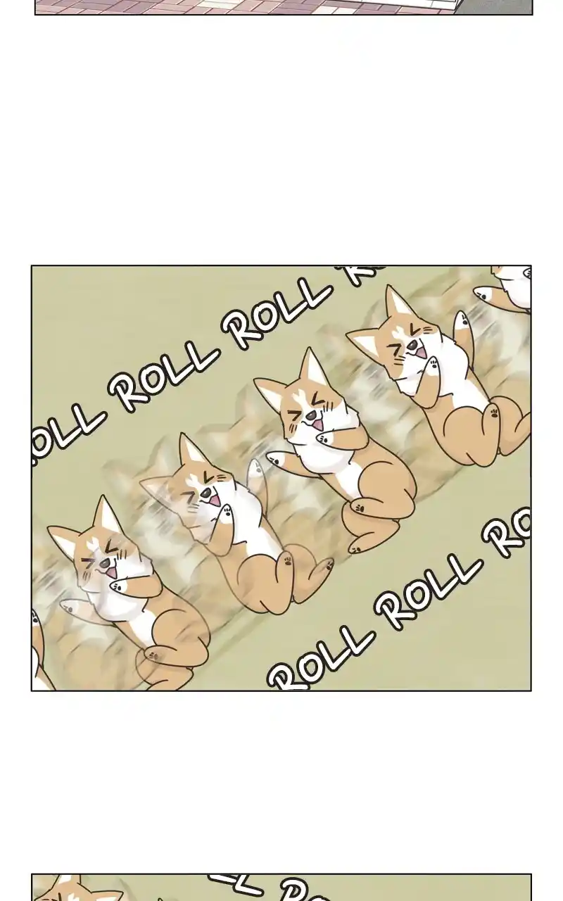 I Gave Birth to a Dog Chapter 118