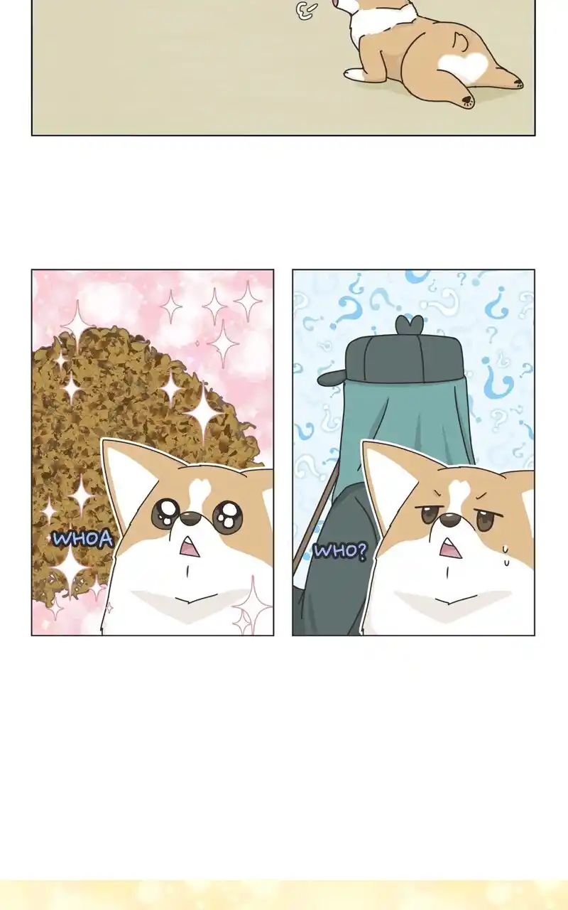 I Gave Birth to a Dog Chapter 118