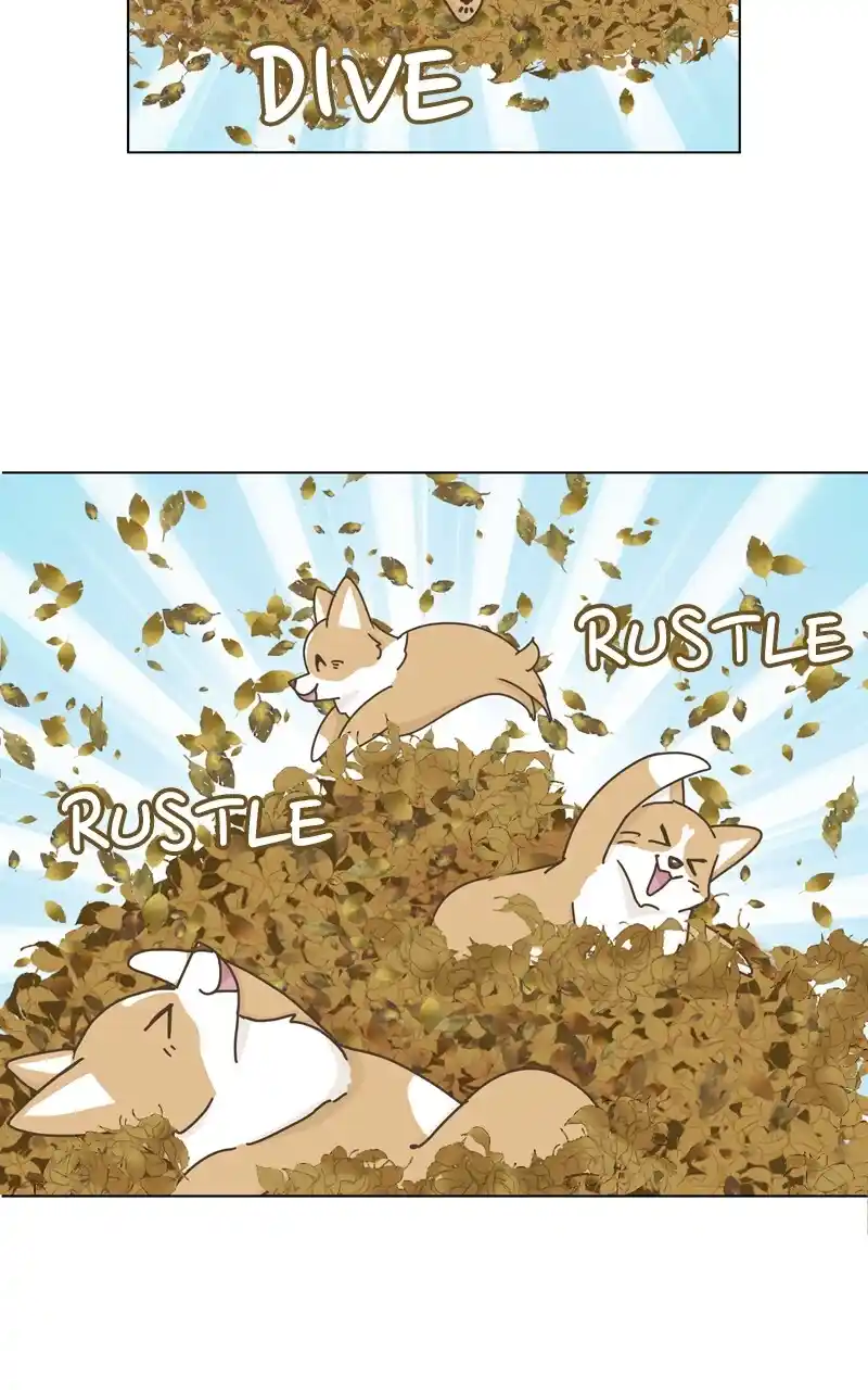 I Gave Birth to a Dog Chapter 118