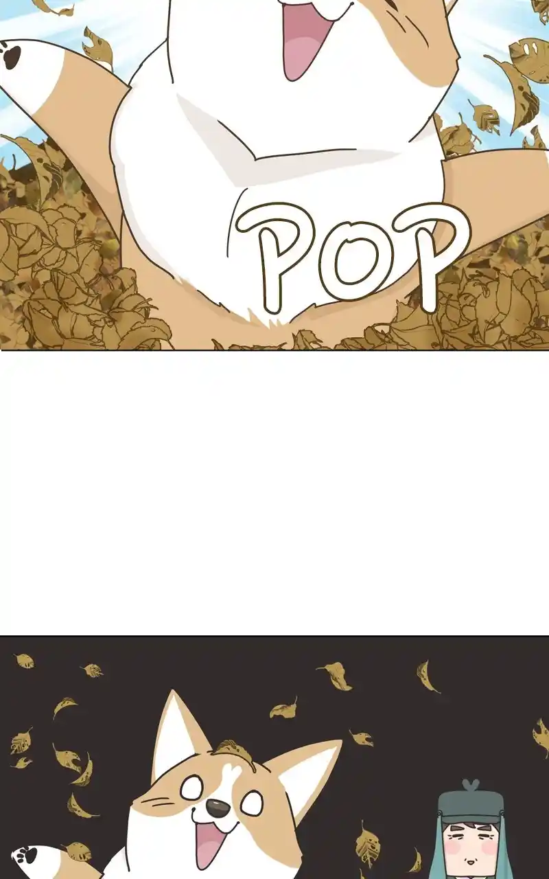 I Gave Birth to a Dog Chapter 118