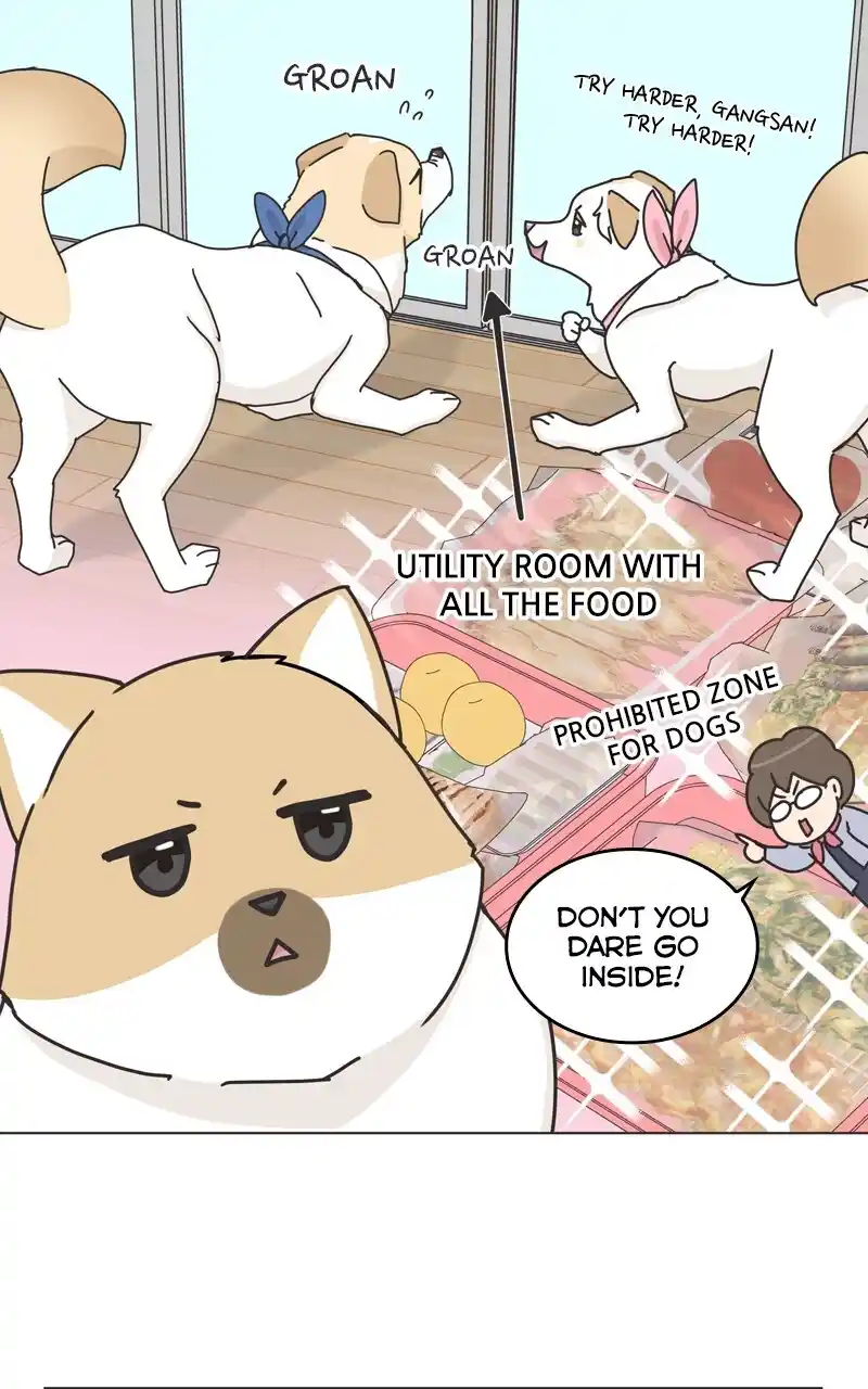 I Gave Birth to a Dog Chapter 118