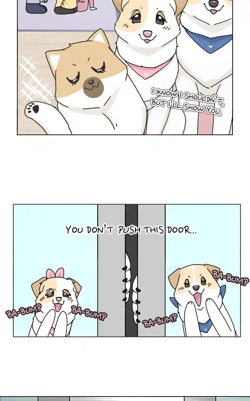 I Gave Birth to a Dog Chapter 118