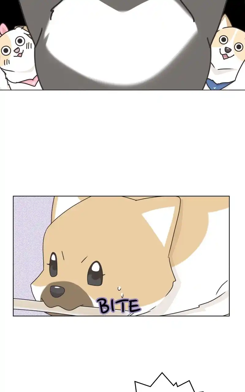 I Gave Birth to a Dog Chapter 118