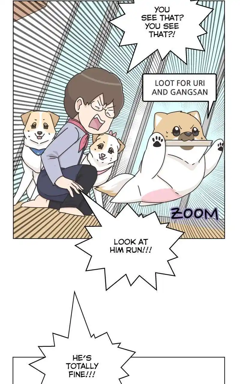 I Gave Birth to a Dog Chapter 118