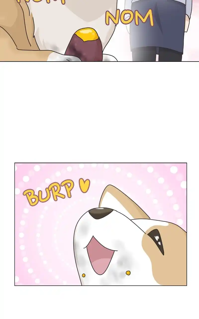 I Gave Birth to a Dog Chapter 118