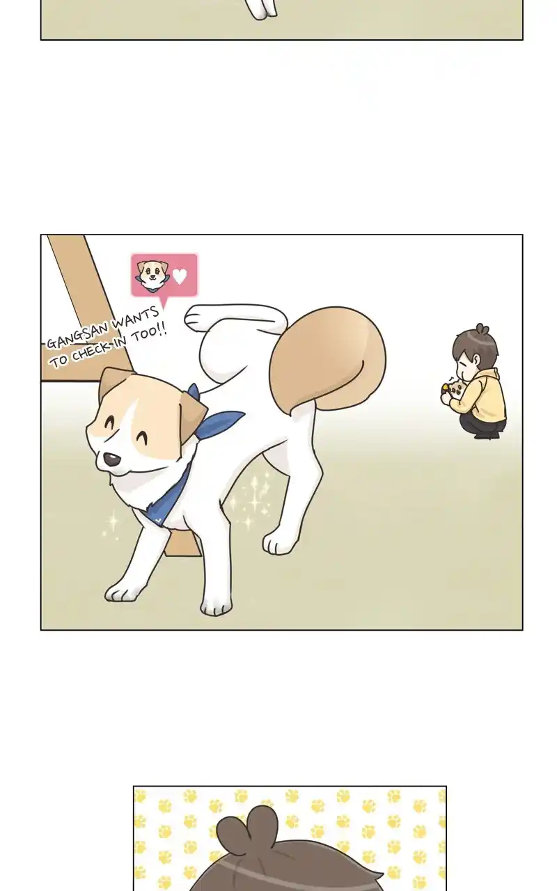 I Gave Birth to a Dog Chapter 118