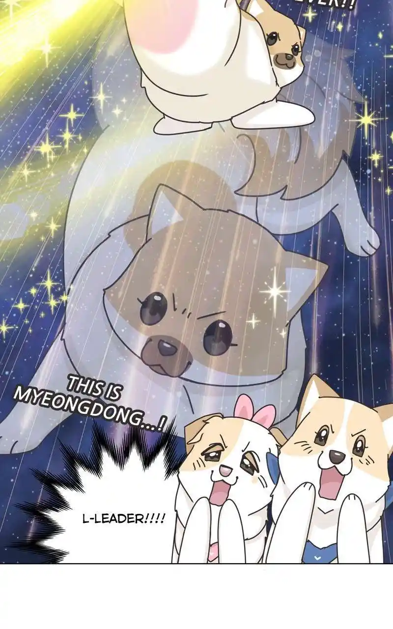 I Gave Birth to a Dog Chapter 118