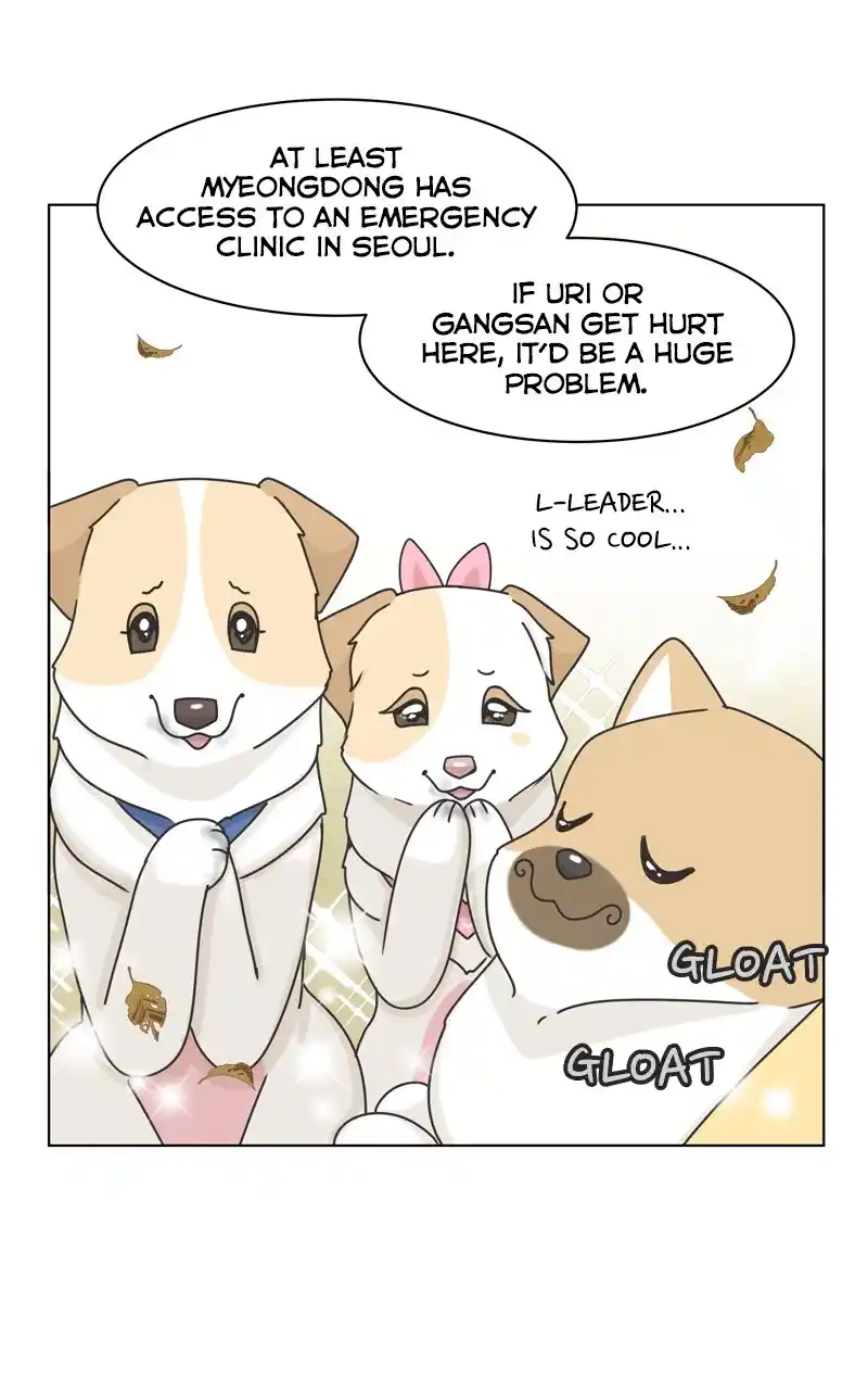 I Gave Birth to a Dog Chapter 118