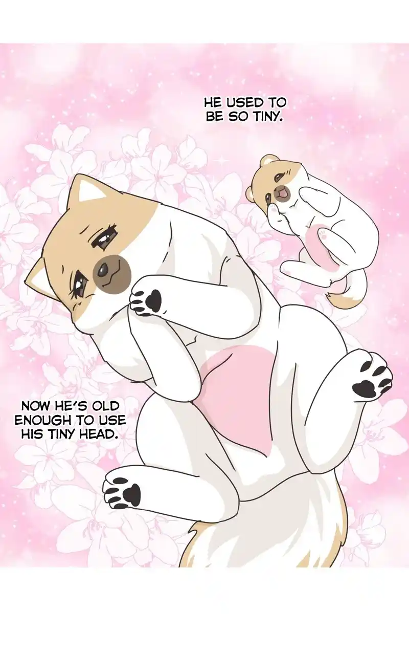 I Gave Birth to a Dog Chapter 119