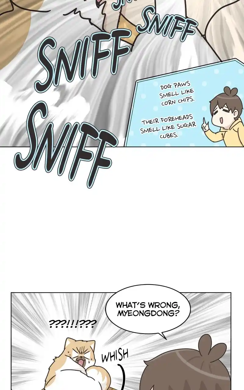 I Gave Birth to a Dog Chapter 119