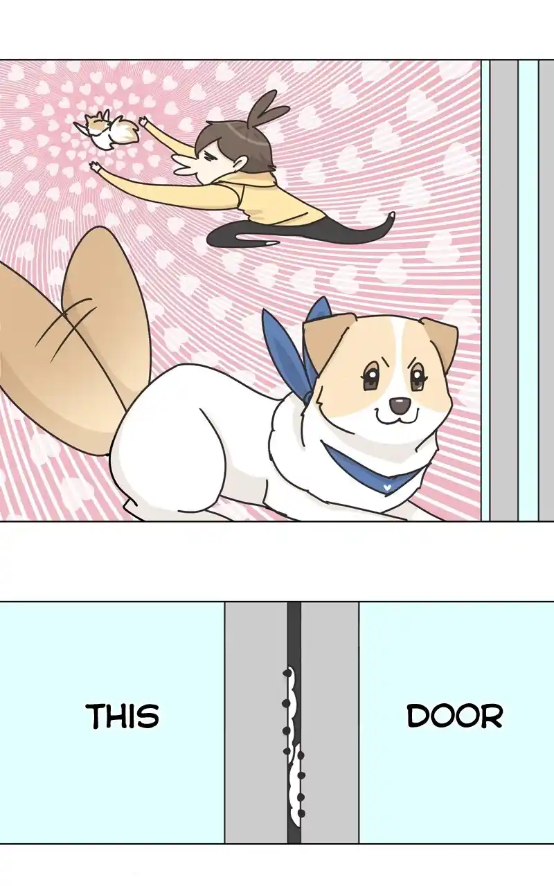 I Gave Birth to a Dog Chapter 119