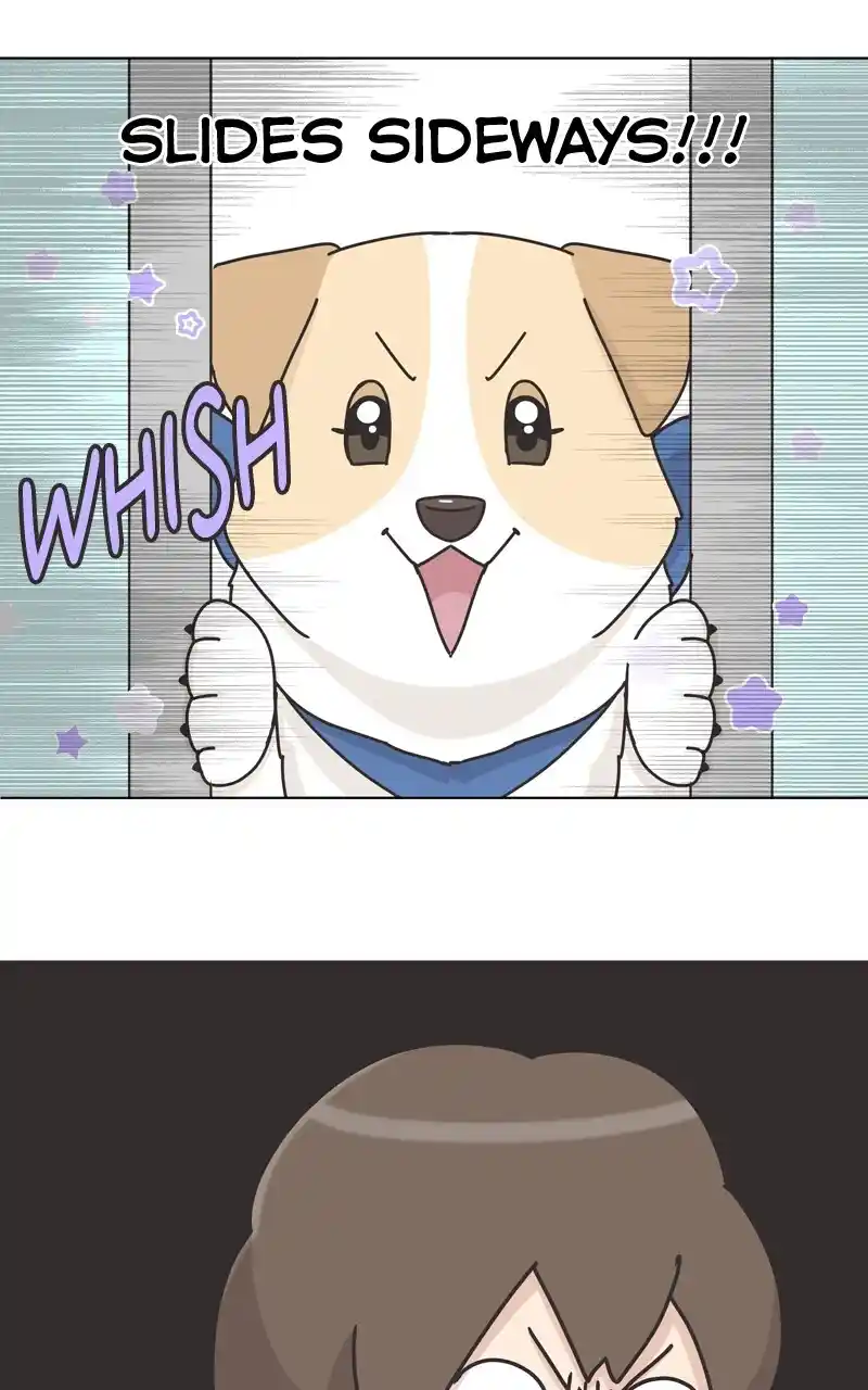I Gave Birth to a Dog Chapter 119