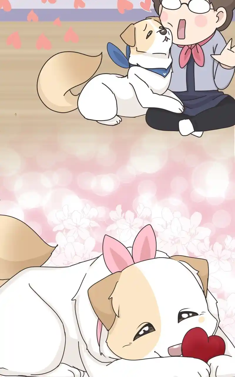 I Gave Birth to a Dog Chapter 119