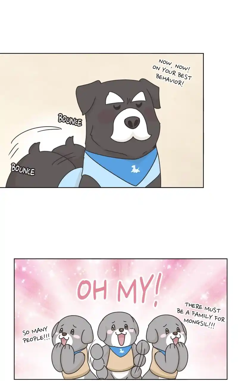 I Gave Birth to a Dog Chapter 119