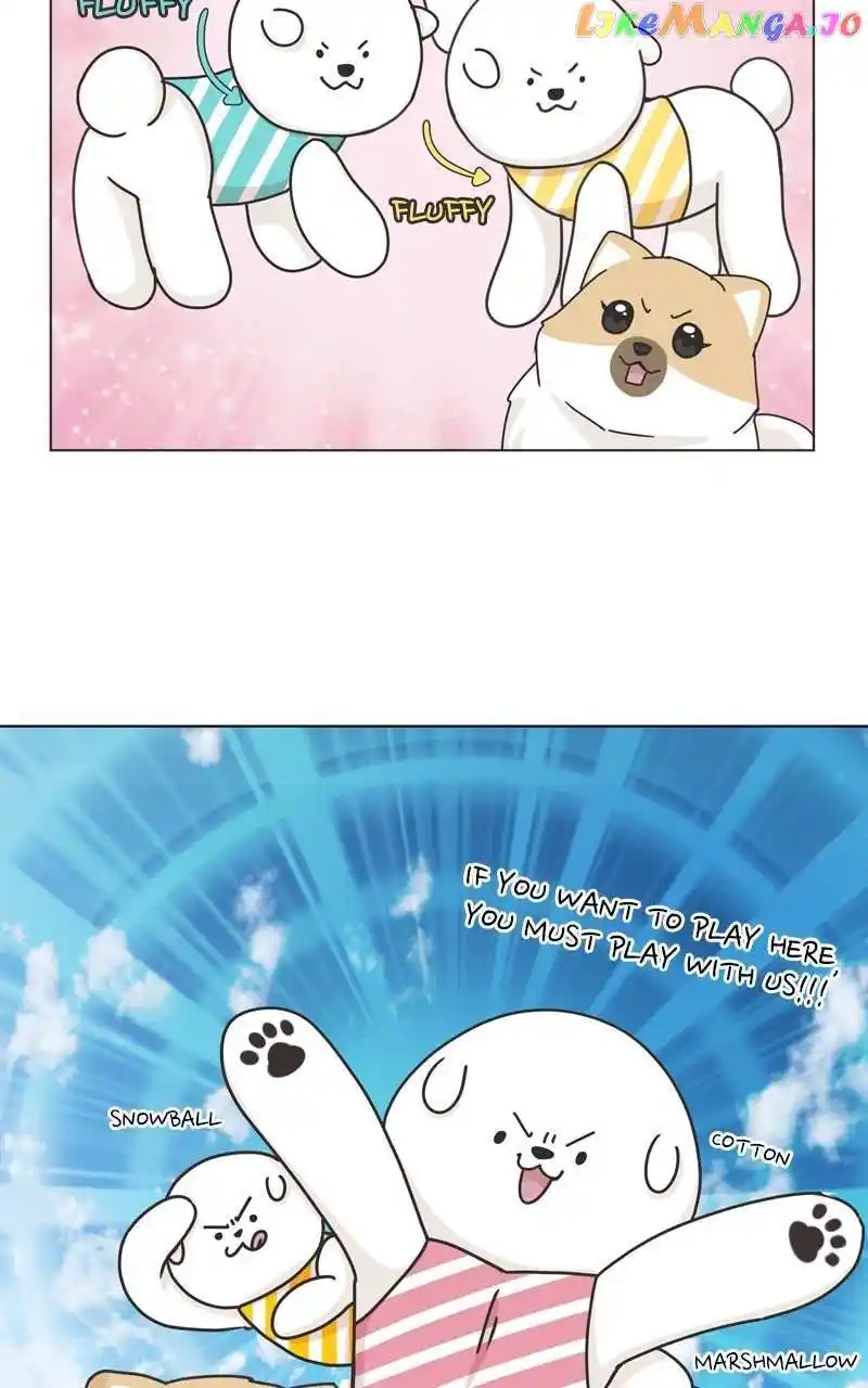 I Gave Birth to a Dog Chapter 120