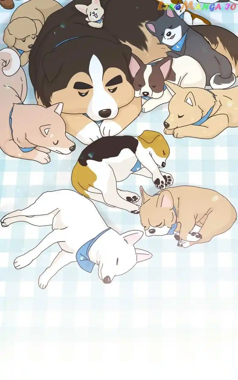 I Gave Birth to a Dog Chapter 120