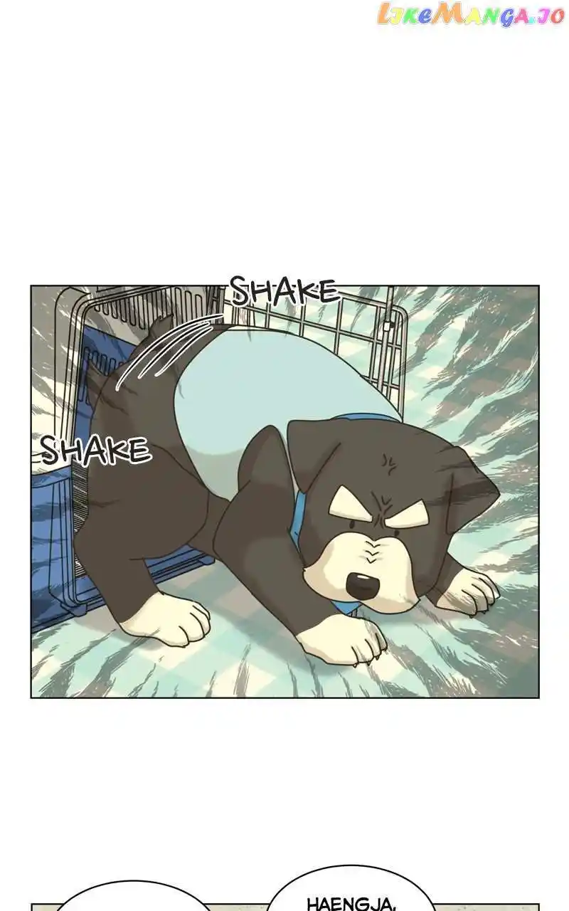 I Gave Birth to a Dog Chapter 120