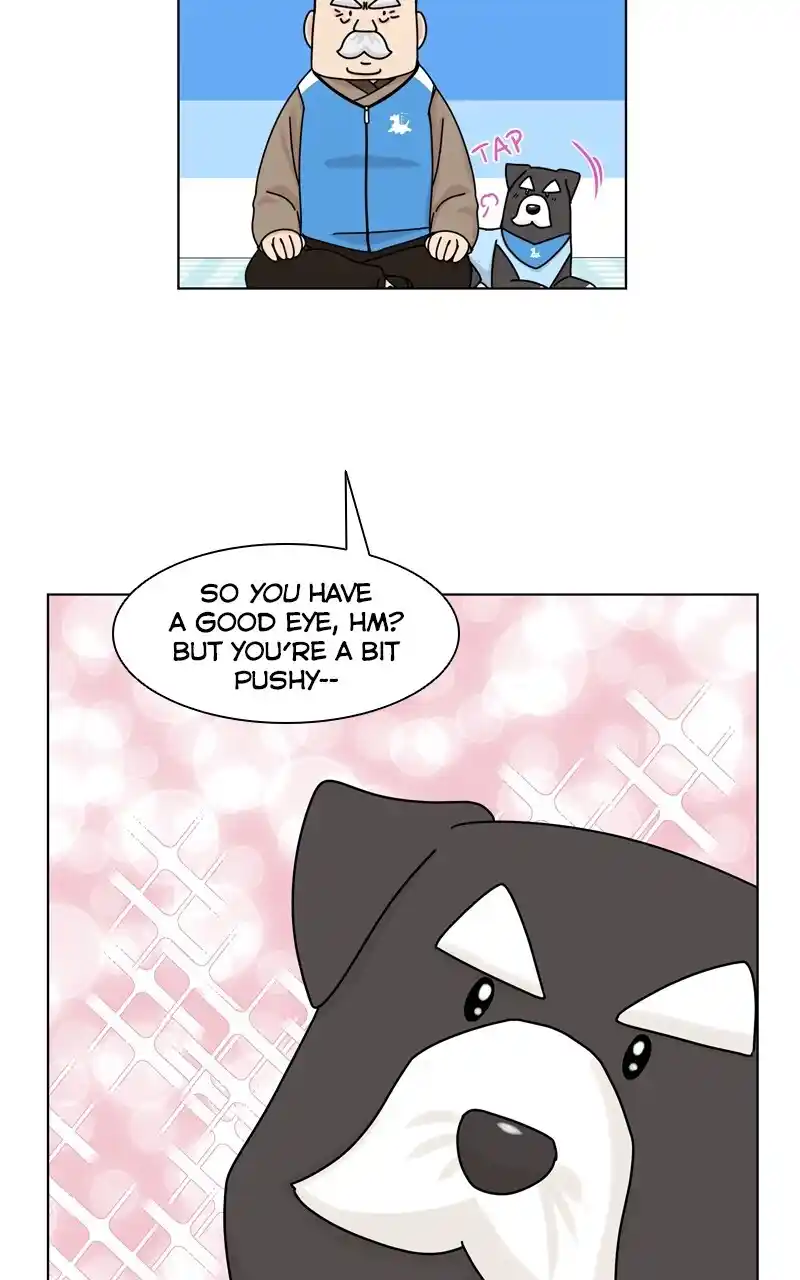 I Gave Birth to a Dog Chapter 124