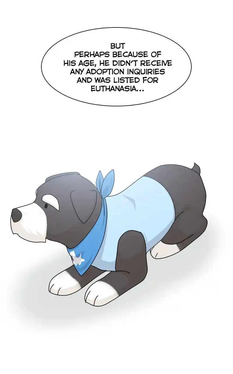 I Gave Birth to a Dog Chapter 125