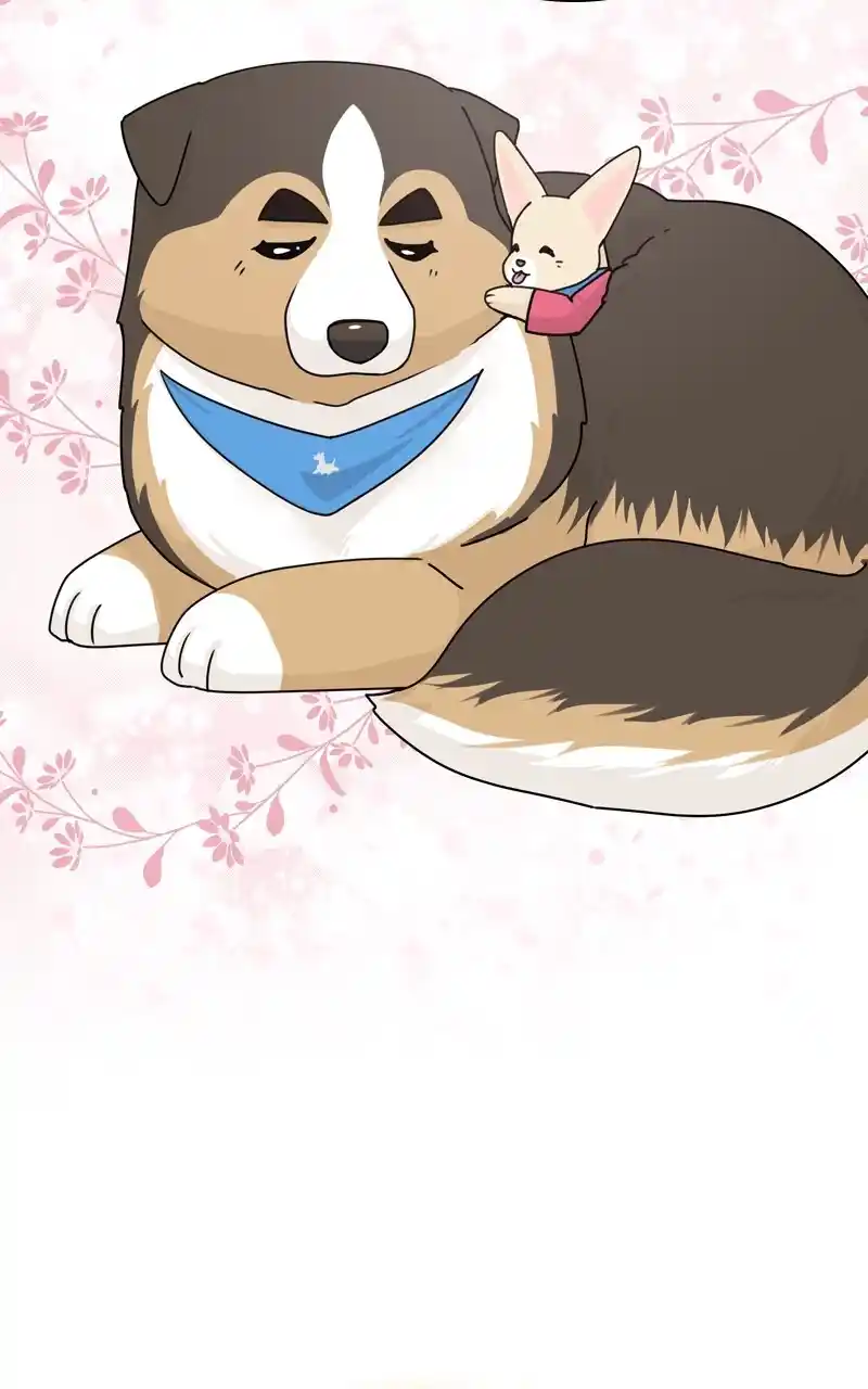 I Gave Birth to a Dog Chapter 126