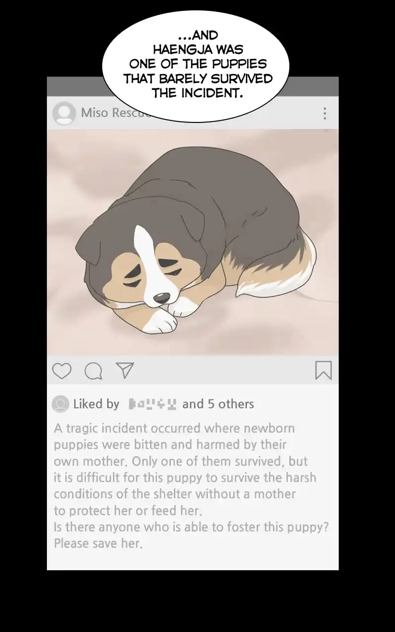 I Gave Birth to a Dog Chapter 126