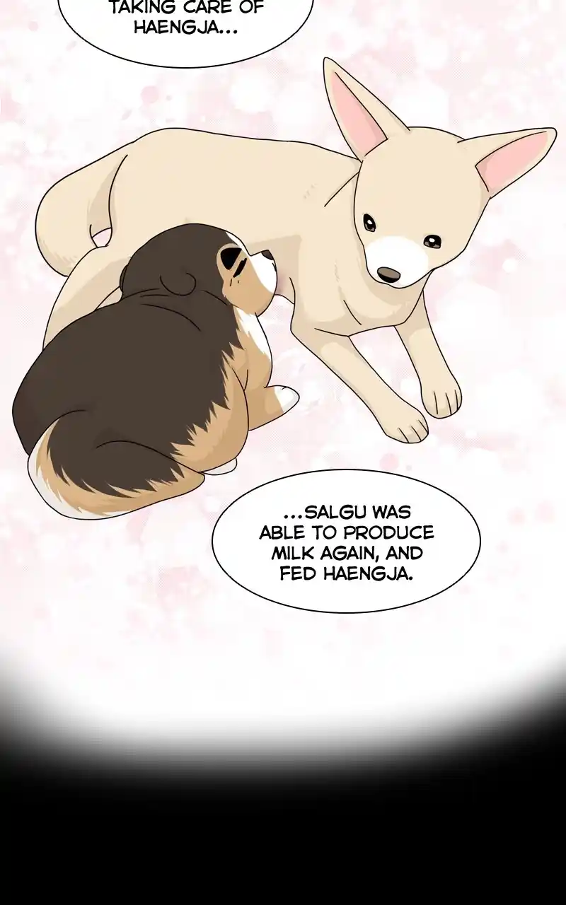 I Gave Birth to a Dog Chapter 126