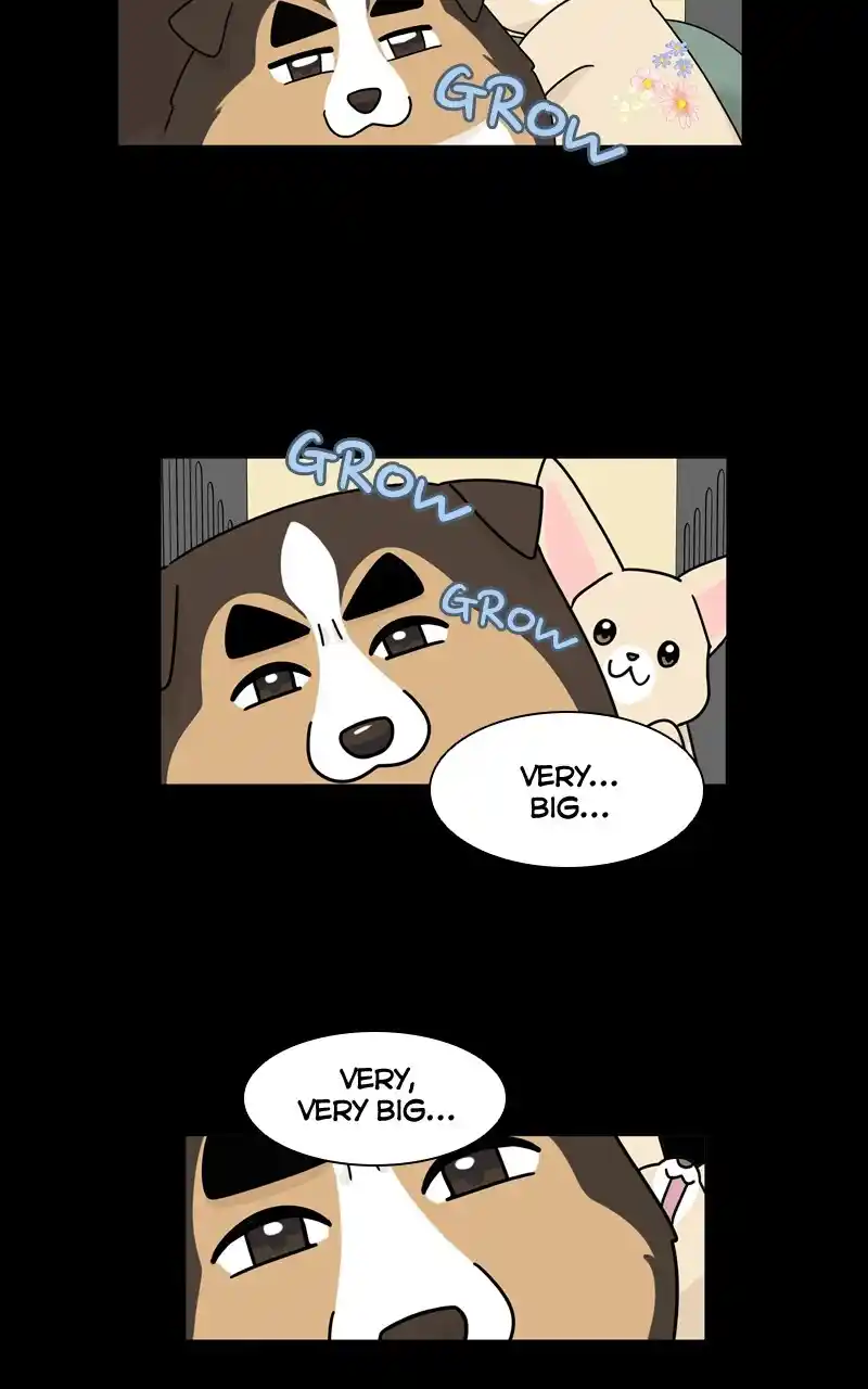 I Gave Birth to a Dog Chapter 126