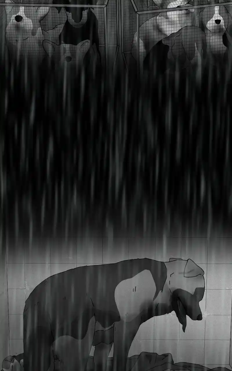 I Gave Birth to a Dog Chapter 126