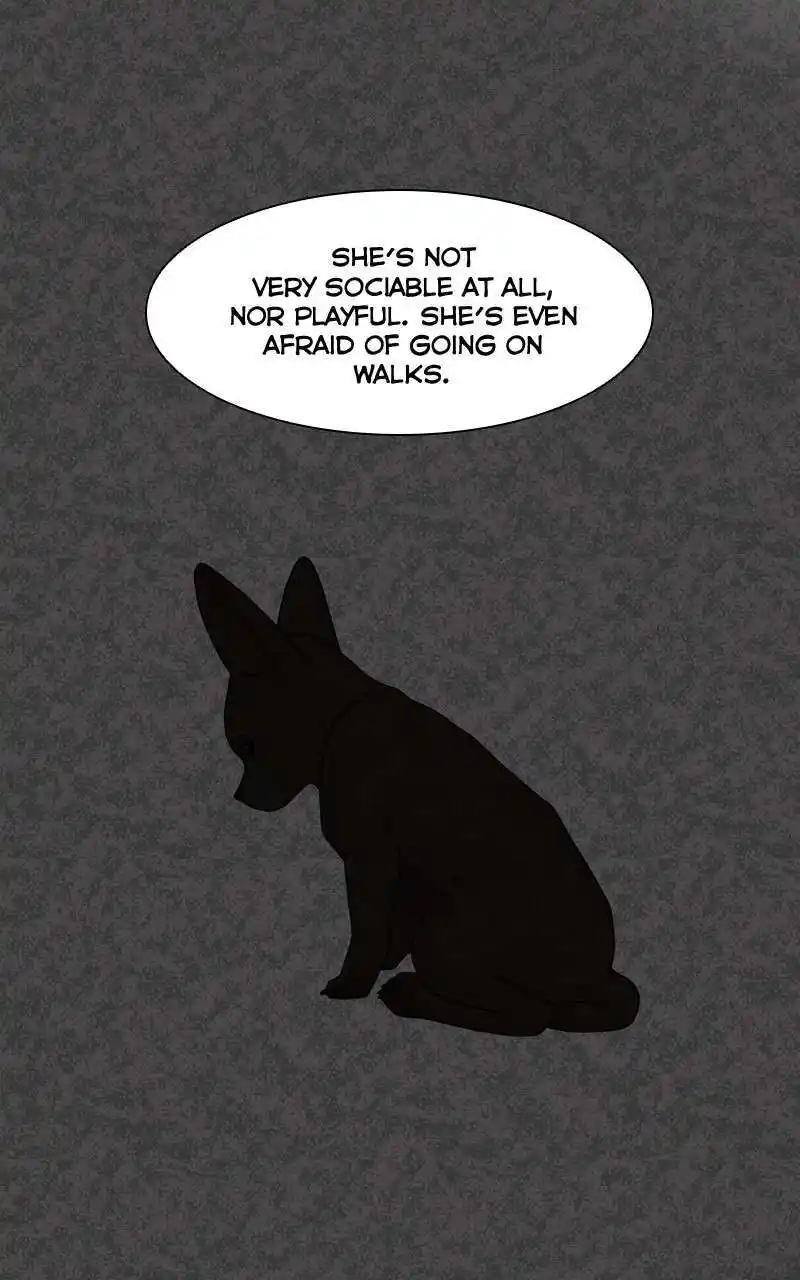 I Gave Birth to a Dog Chapter 127