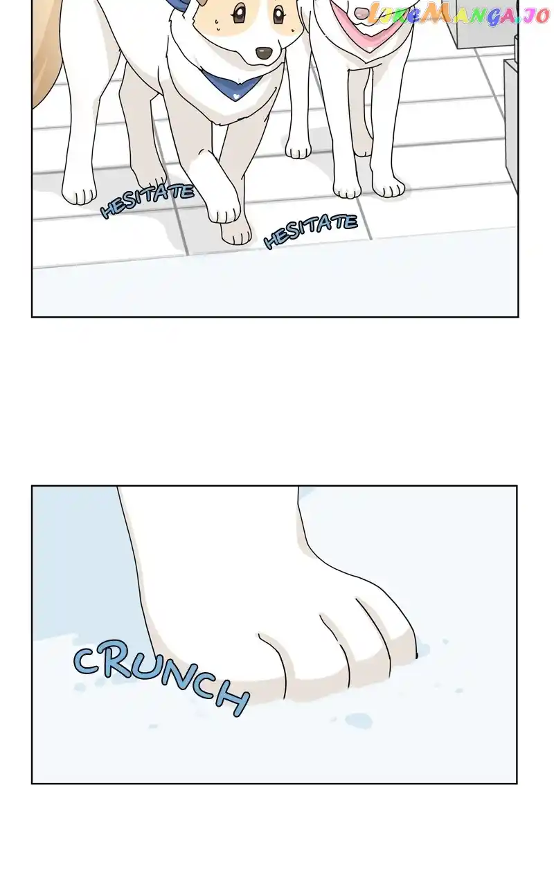 I Gave Birth to a Dog Chapter 134