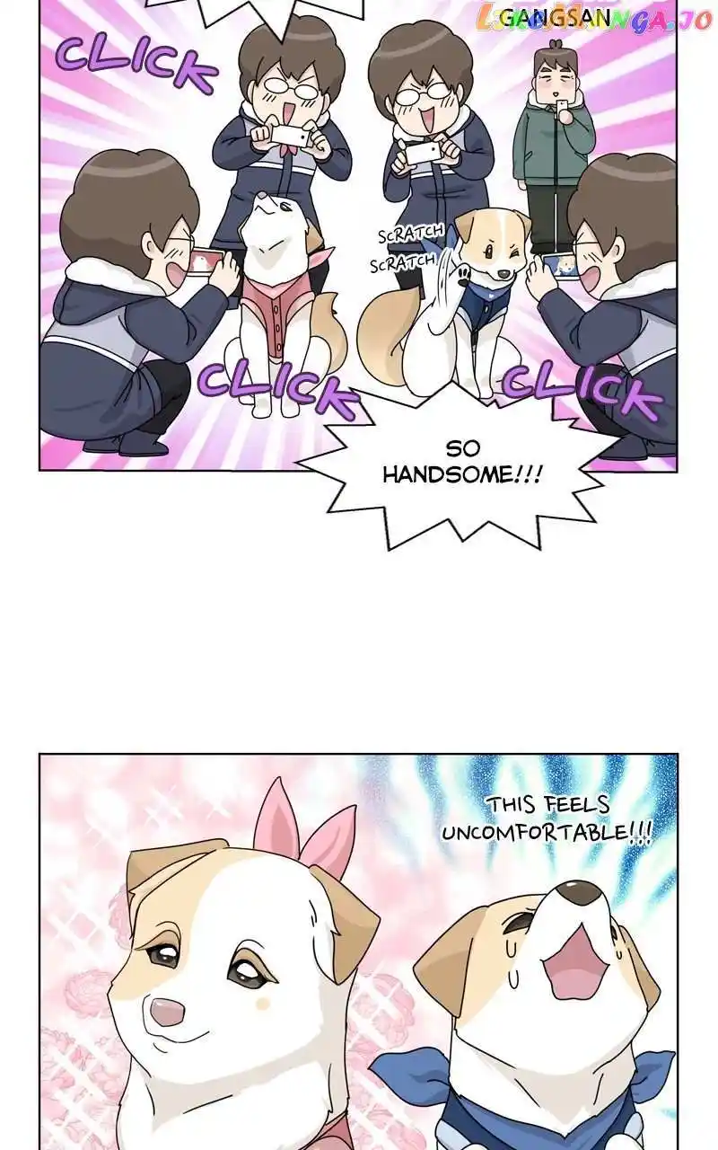 I Gave Birth to a Dog Chapter 134