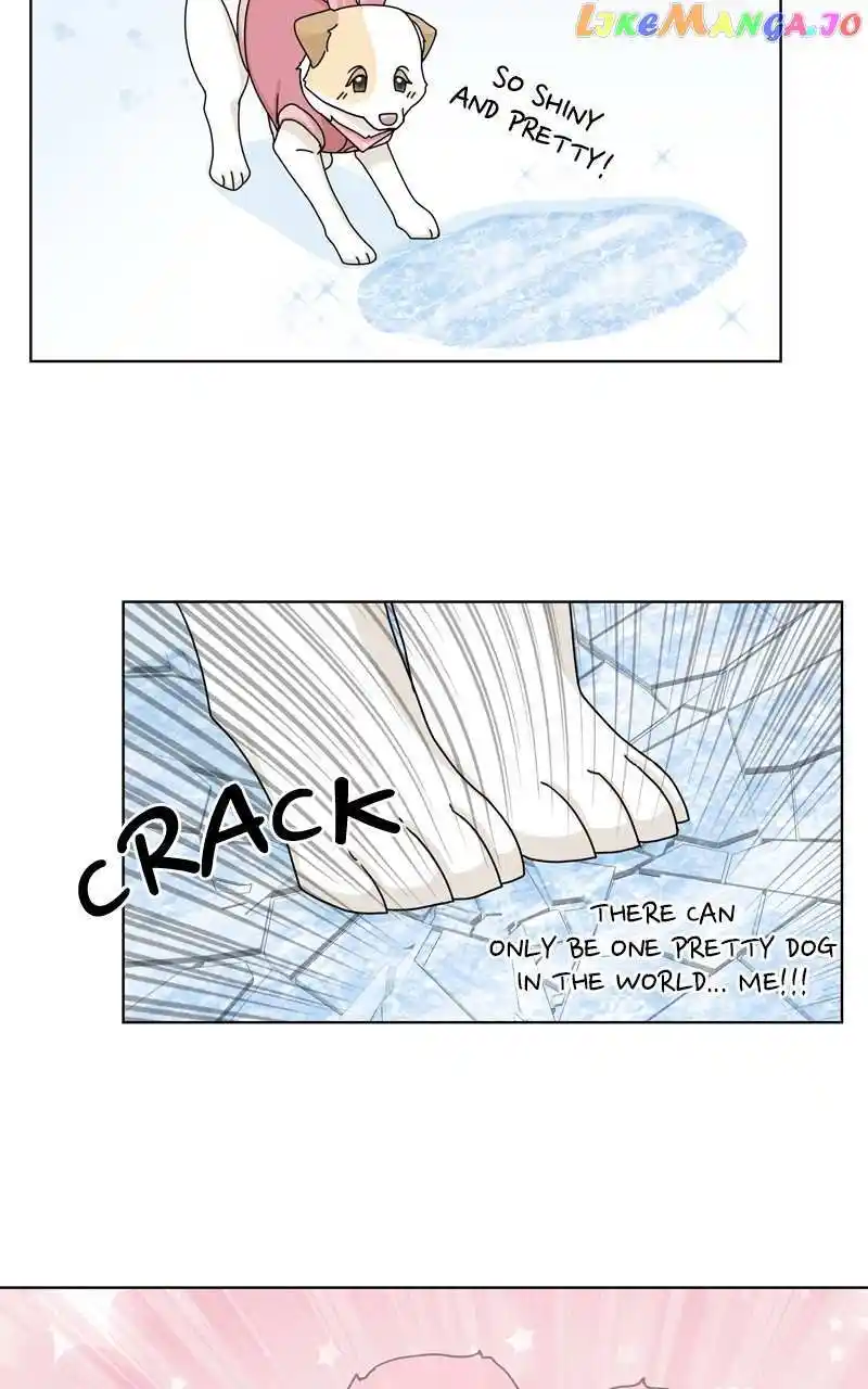 I Gave Birth to a Dog Chapter 134