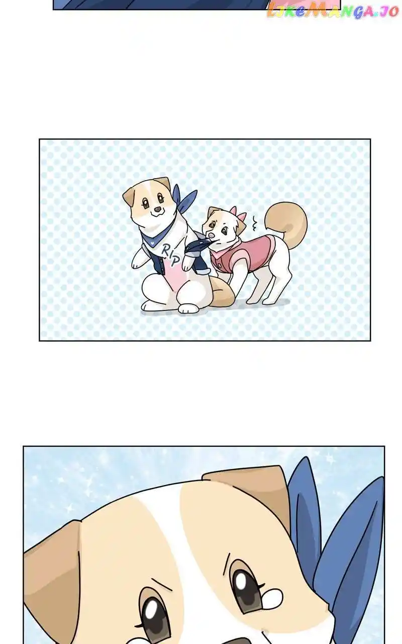 I Gave Birth to a Dog Chapter 134