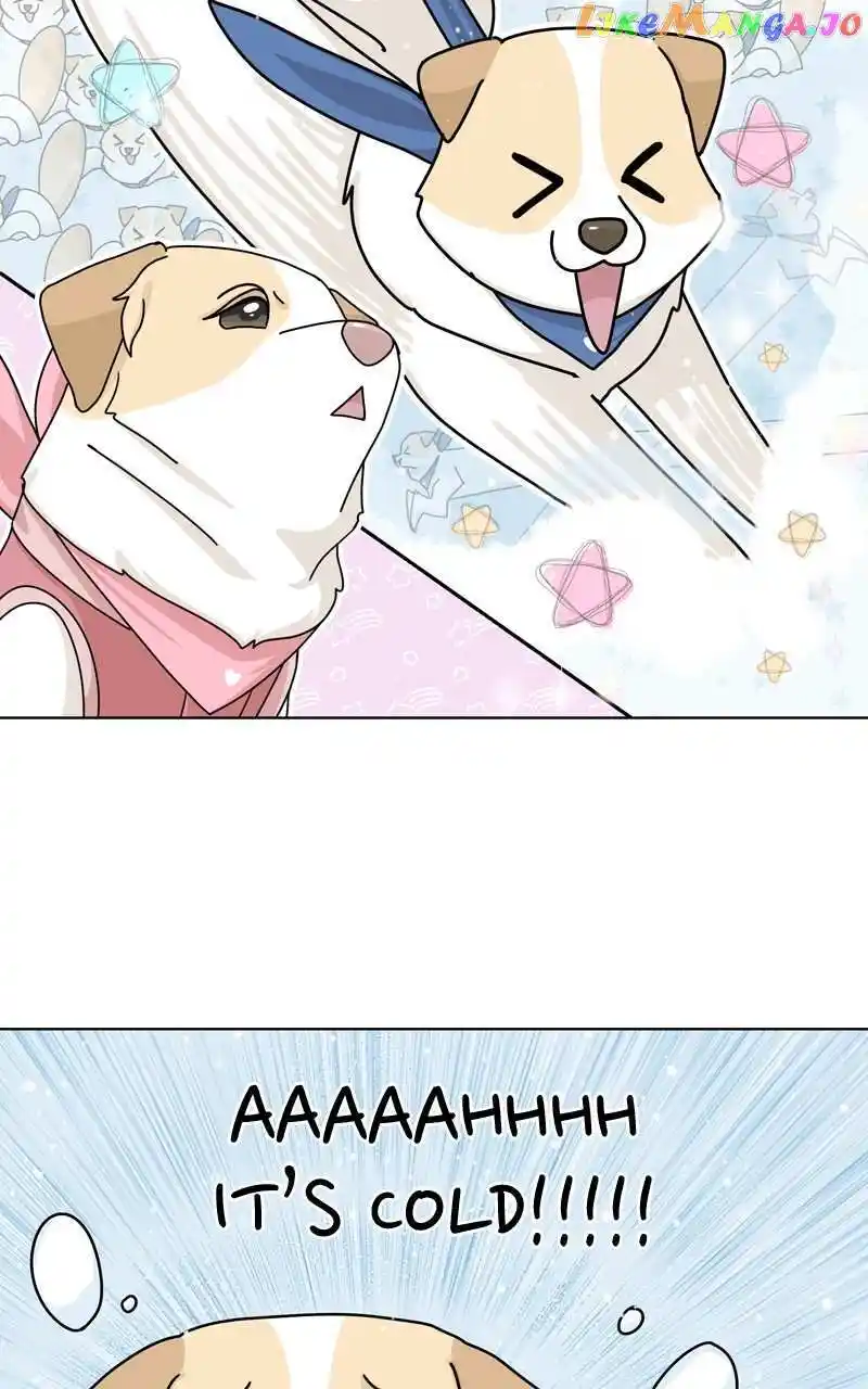 I Gave Birth to a Dog Chapter 134