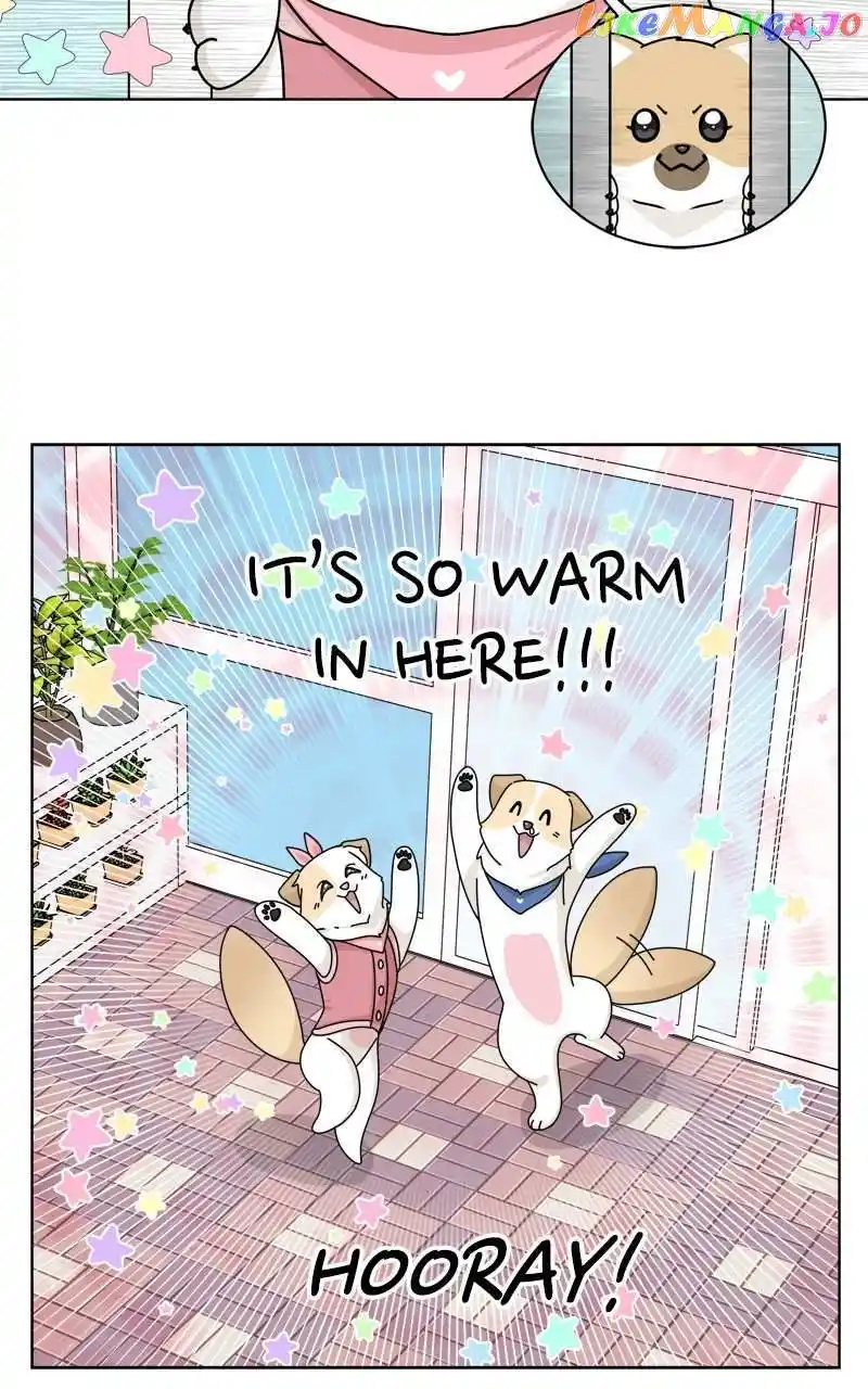 I Gave Birth to a Dog Chapter 134