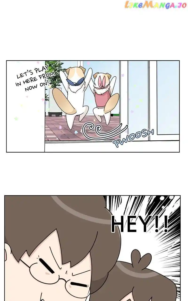 I Gave Birth to a Dog Chapter 134