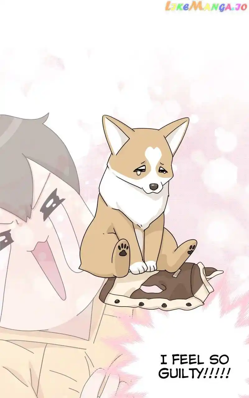I Gave Birth to a Dog Chapter 135