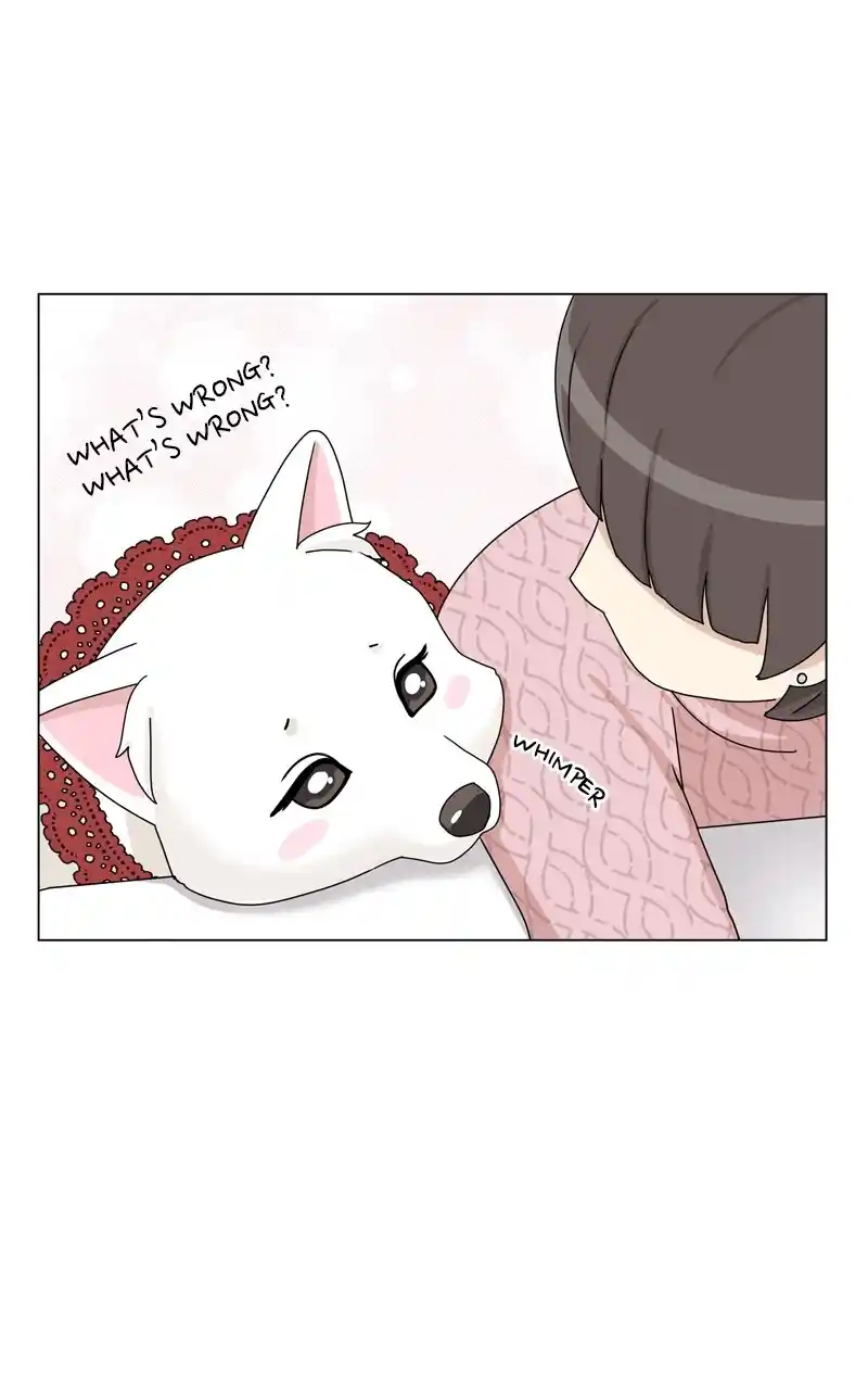 I Gave Birth to a Dog Chapter 136