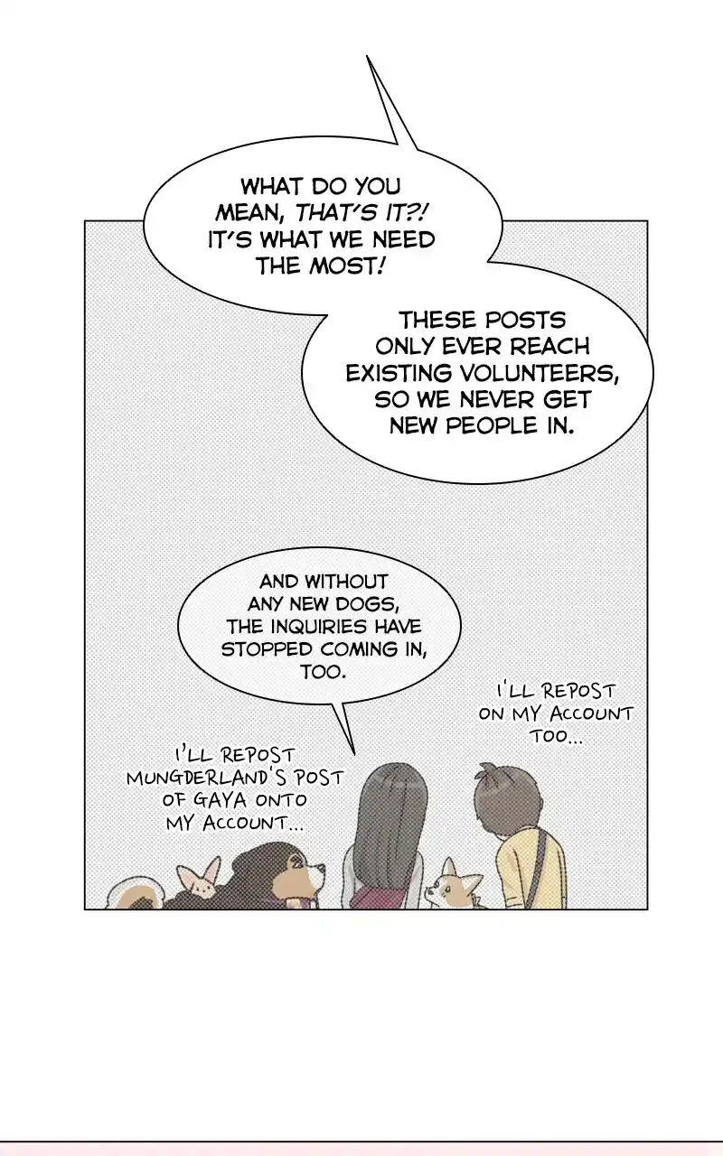 I Gave Birth to a Dog Chapter 136