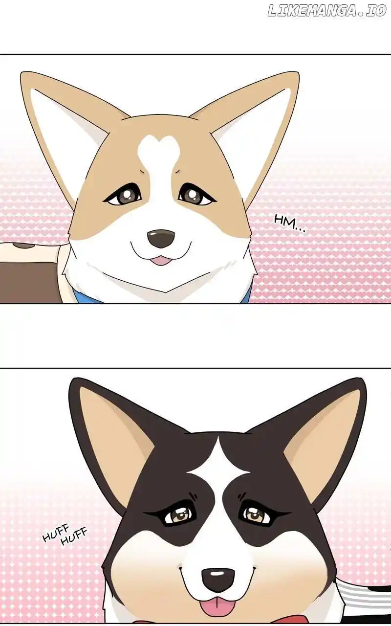 I Gave Birth to a Dog Chapter 137