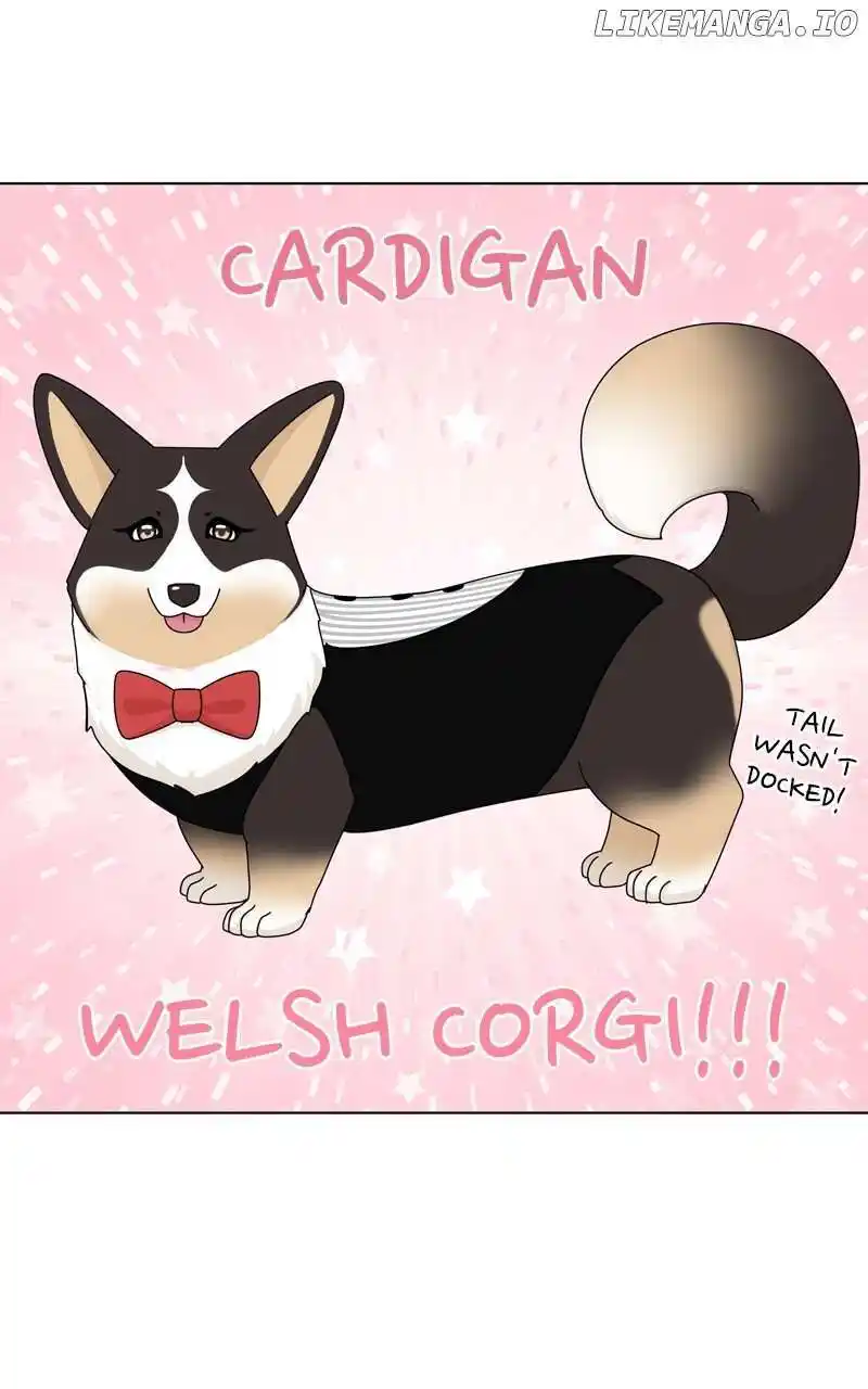 I Gave Birth to a Dog Chapter 137